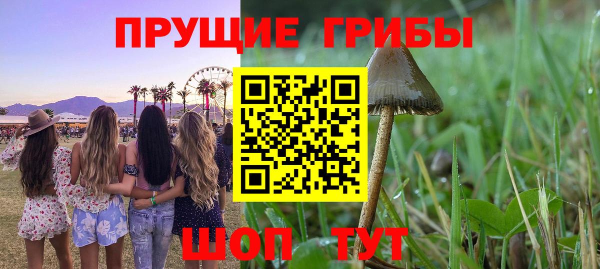 Луховицы  Псилоцибиновые грибы Magic Shrooms  Вход с VPN  Псилоцибиновые грибы прущие грибы 